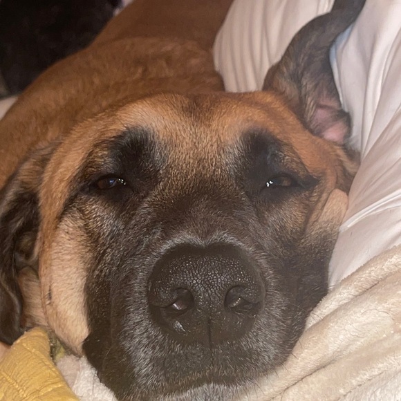 Meet your Posher, Keith - Picture 1 of 1